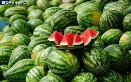 有关吃瓜的网站,从娱乐八卦到社会现象的演变