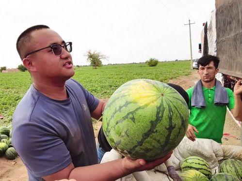 吃瓜网安装,带你领略网络舆论新风向