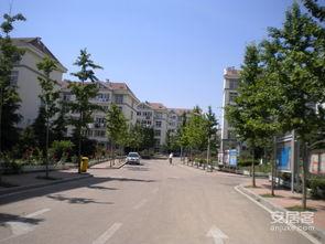 金水翠园吃瓜,夏日吃瓜盛宴，畅享清凉时光