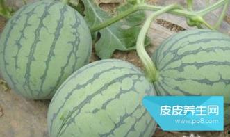 睡前吃瓜音频,揭秘睡前吃瓜的趣味与秘密