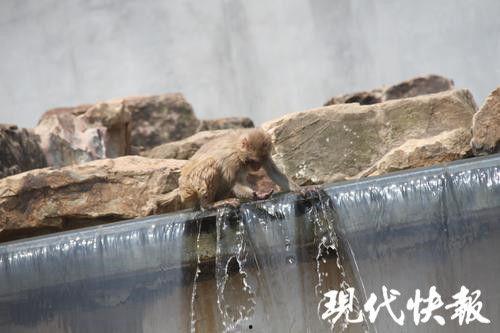 水帘洞吃瓜,探寻神秘仙境的吃瓜传奇