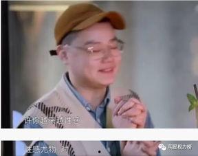 摩斯无密码吃瓜,揭秘神秘加密背后的趣味世界