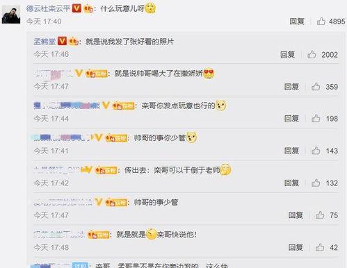 晚上吃瓜评论区,揭秘今晚吃瓜背后的故事