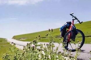 骑行湖吃瓜,尽享夏日吃瓜时光