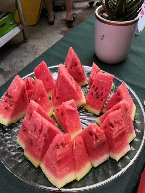 秦皇岛王主任吃瓜