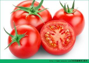 吃瓜黄脸改吃西红柿,美食爱好者的转变之旅