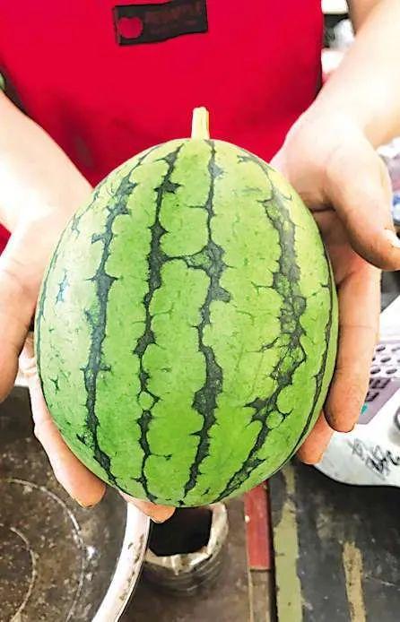 青岛吃瓜最新,揭秘网红美食背后的故事